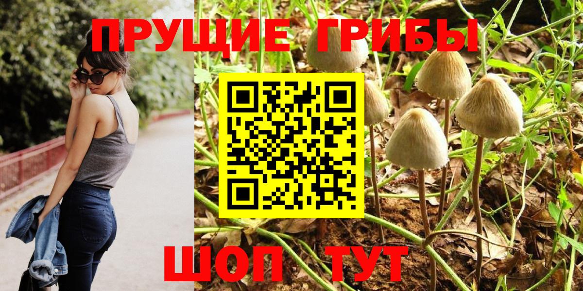 Галлюциногенные грибы прущие грибы Котовск